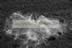 Winter Ice 2 - B&W.jpg (127kb)
